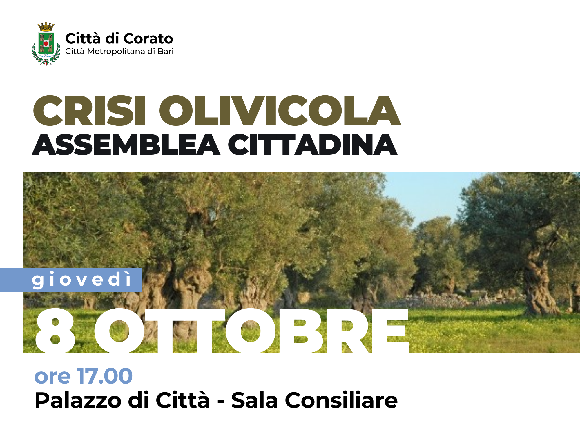 Incontro Crisi Olivicola 8 ottobre 2026