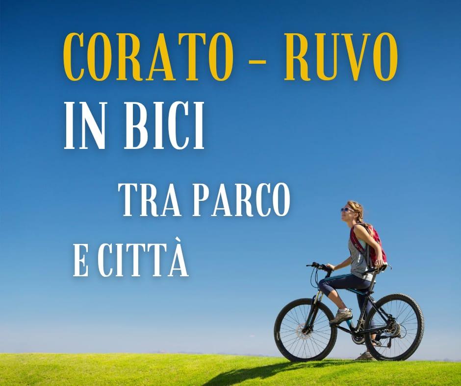 In bici tra parco e città