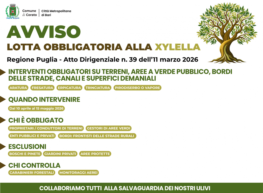 Xylella al via gli interventi obbligatori